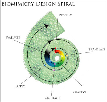 Biomimicry, facil sobre el papel, largo y dificil a la practica