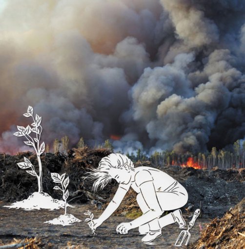 La portada dedicada por Nature a Rio+20