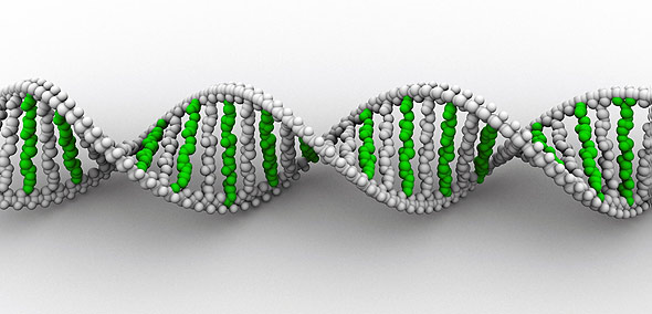 El DNA o ADN del ecologismo lleva unos aminoacidos especiales. De verdad